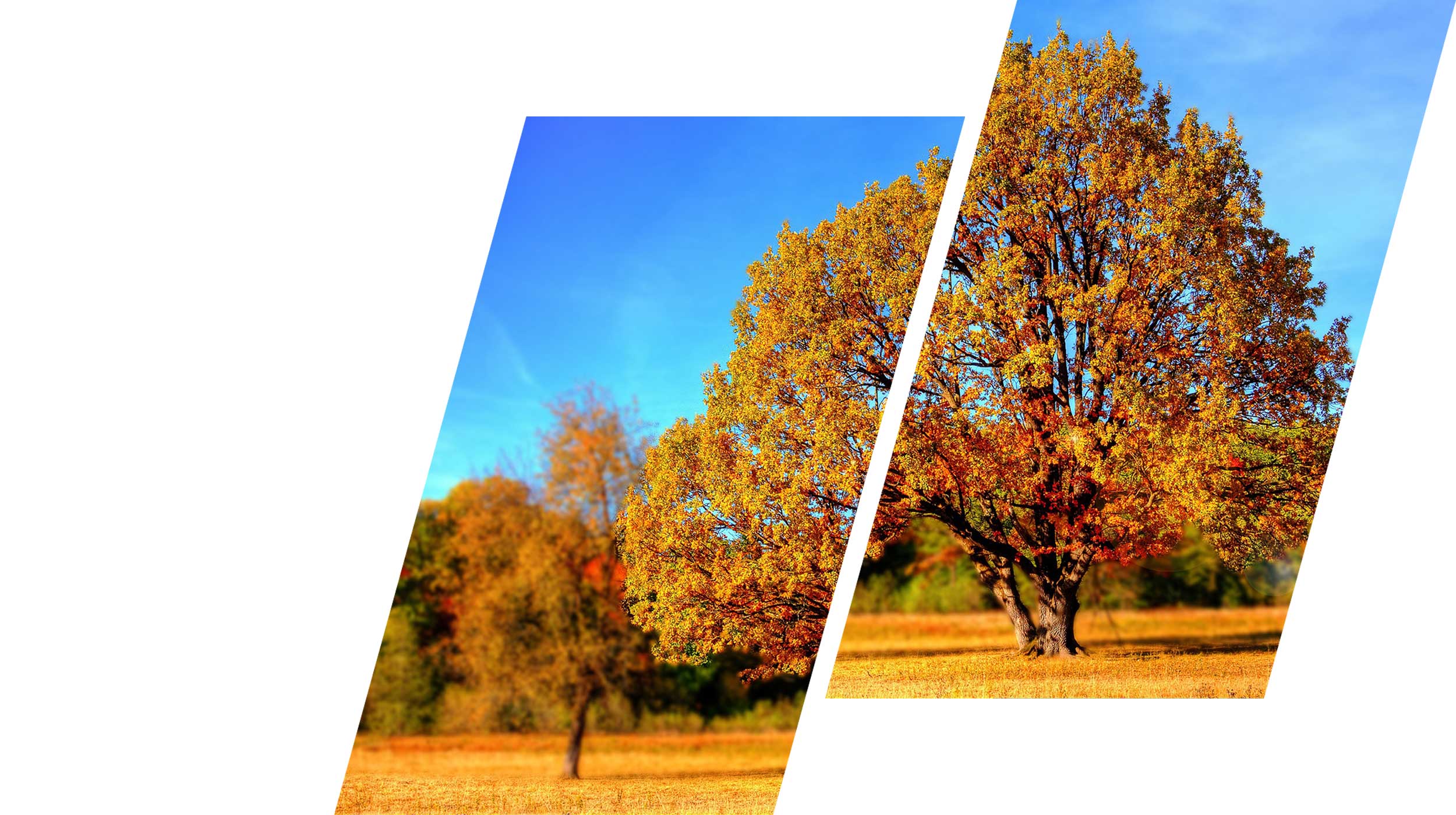 Camping Goldene Meile Herbstangebot